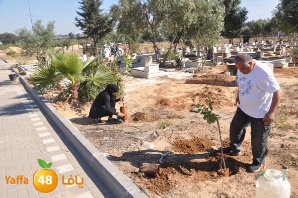 ashjar taso 0328 (29).JPG